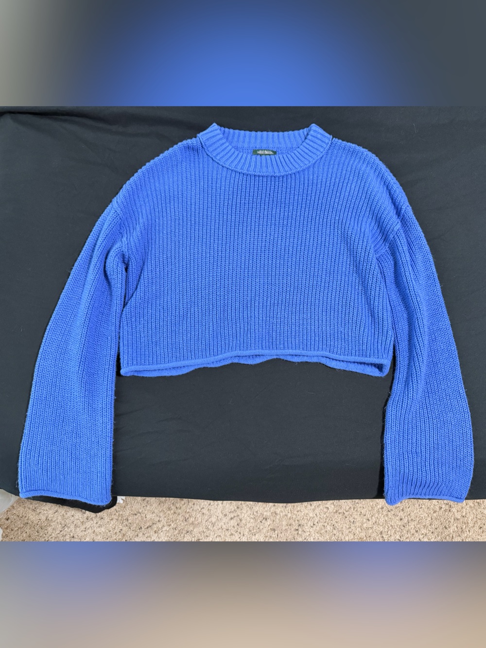 wild fable Royal Blue Cropped Crew Neck Sweater
